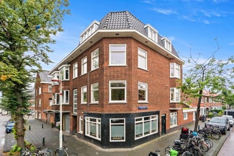 Linnaeusstraat 295