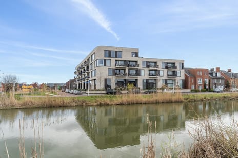 Wilde rucolavliet 37