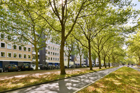 Van Nijenrodeweg 697