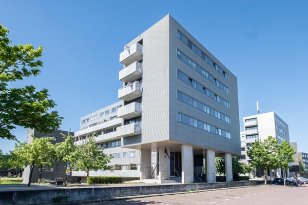 Ladogameerhof