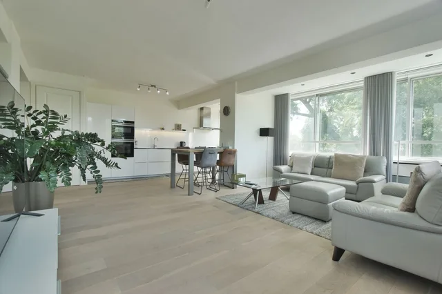 Meander 807