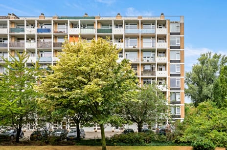 Louis Davidsstraat 505