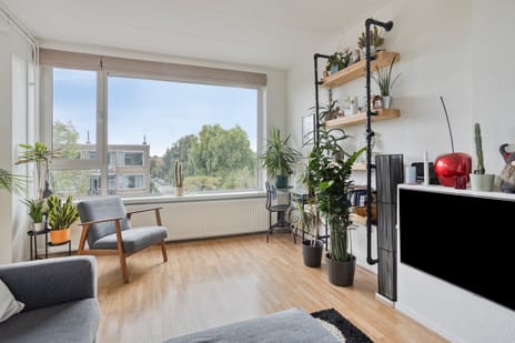Molenstraat 74