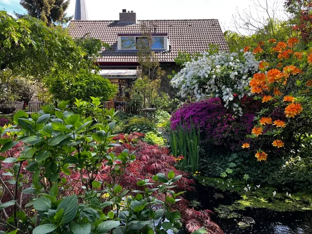 Laanstraat 3