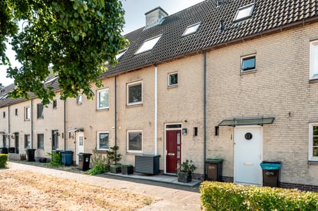 Waalstraat 55