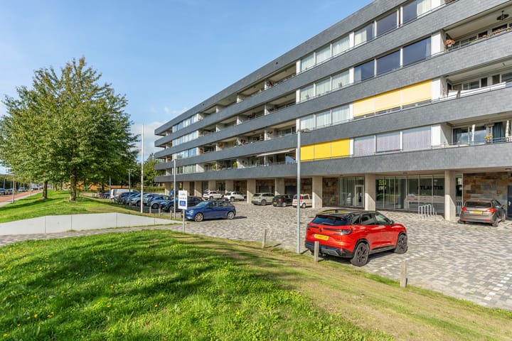 Grootzeil 302