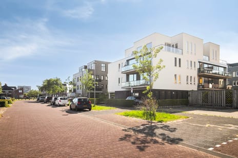 Adriaen Blockstraat 100