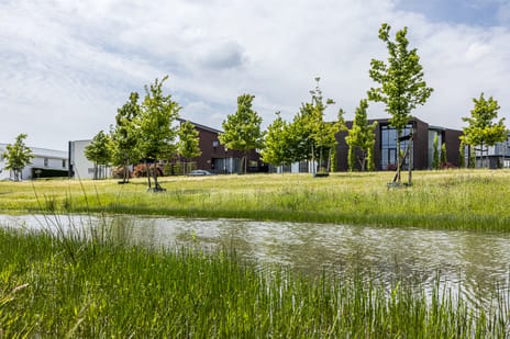 Koekoeksbloem (Bouwnr. 83)