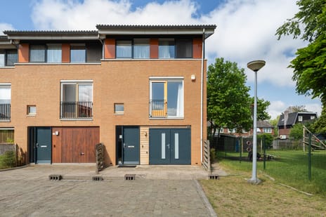 Goudpluvier 39