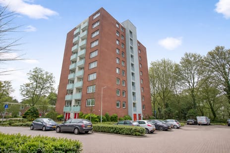 Dierenriem 66