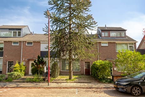 Raedeckerplantsoen 9
