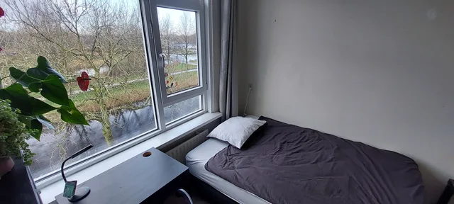 Voordek