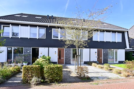 Laantje van Vos 5
