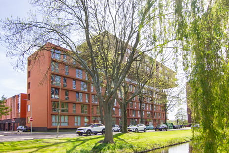Hengelolaan 586