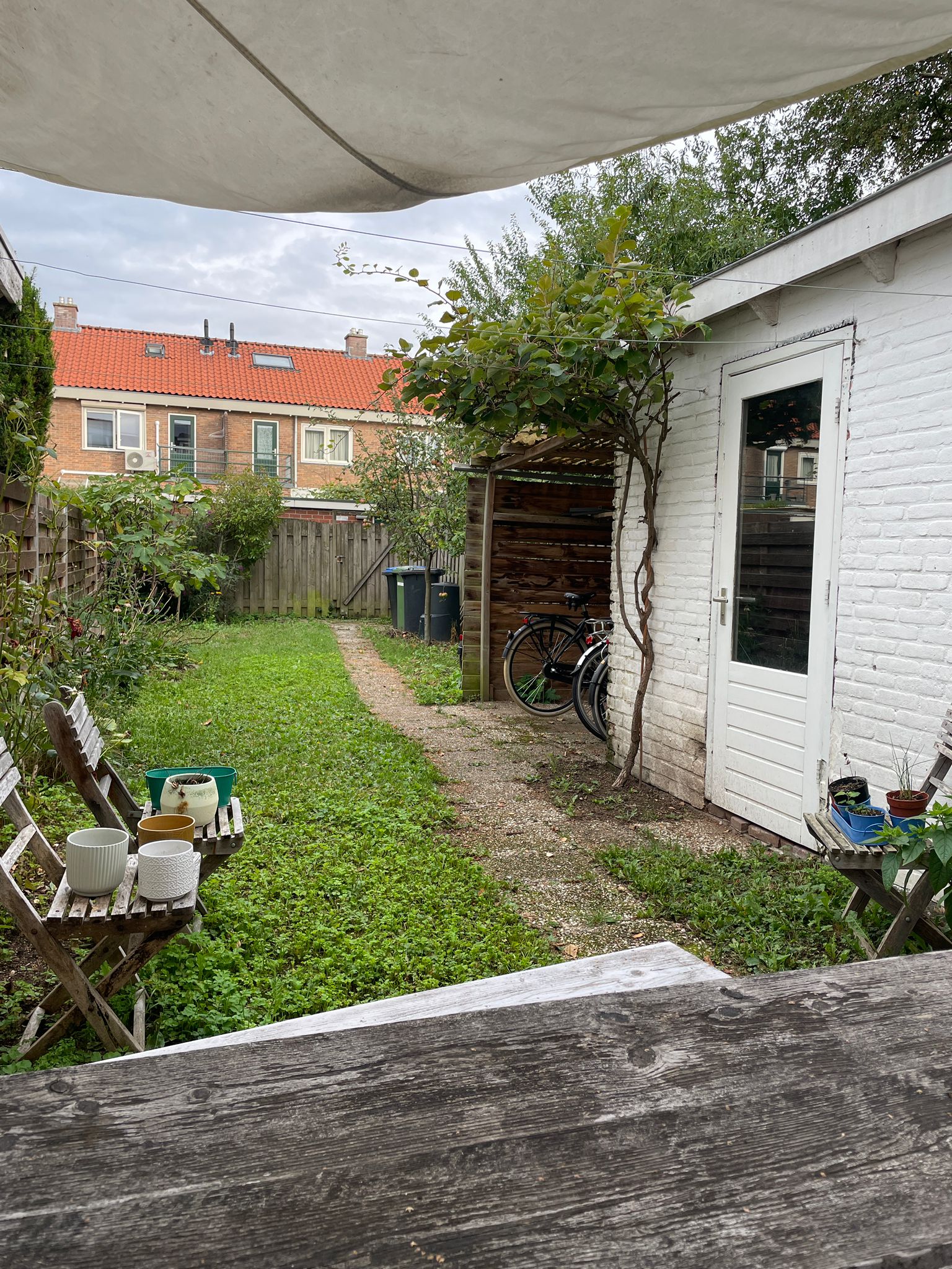 Ranonkelstraat