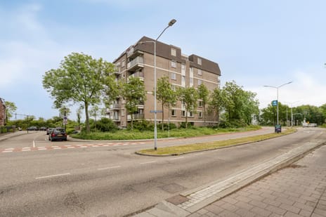 van Laerstraat 62