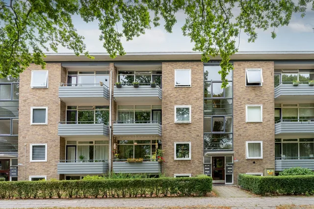 Meerstraat 151