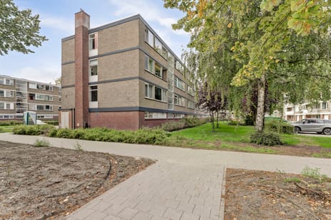 Drijfhoutstraat 3