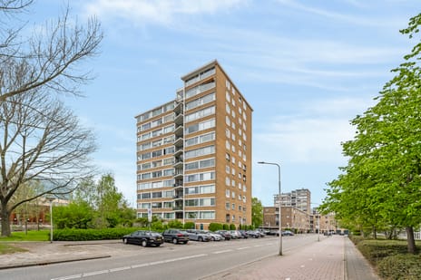 Meander 1059