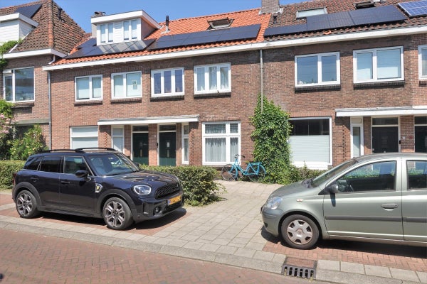 Pelikaanstraat