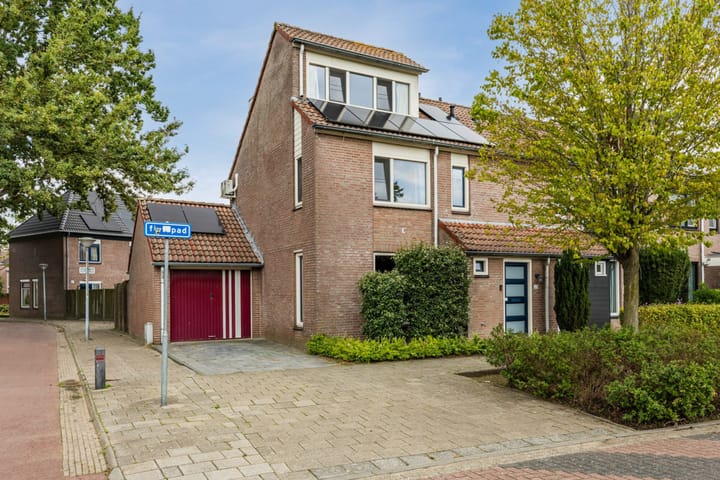 Lamberg 23