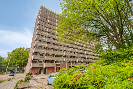 Jisperveldstraat 154