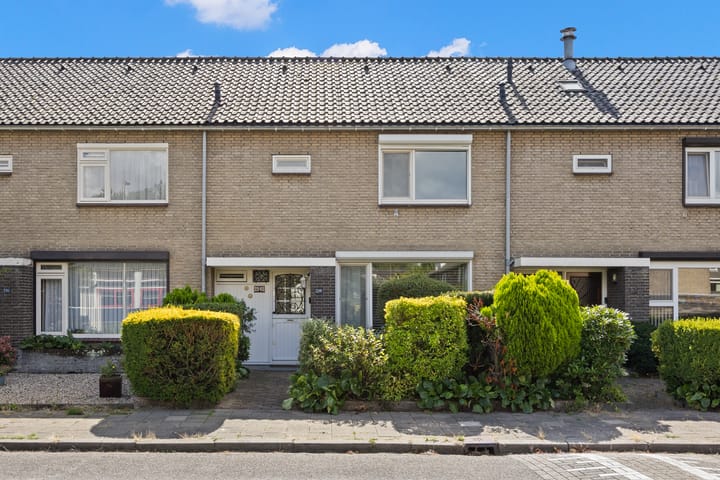 Lankforst 2365