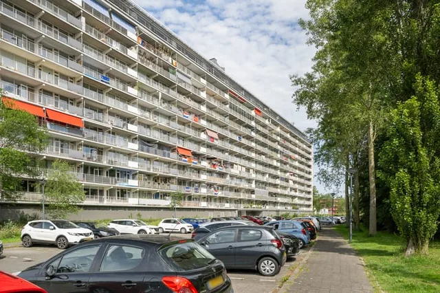Bachplein 533