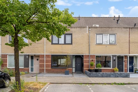 Zilverschoon 17