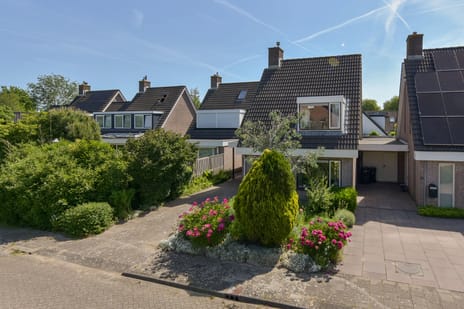 Meerkoet 2-A