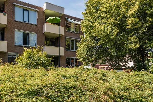 Bielzen 11