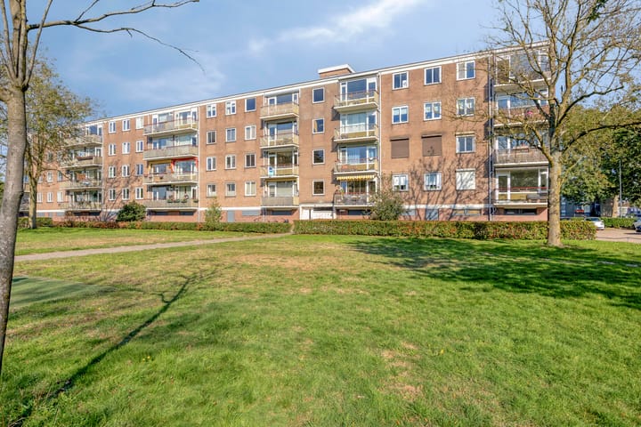 Maassingel 138