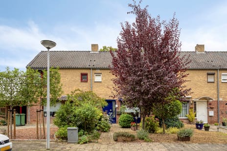 Schippersdreef 31