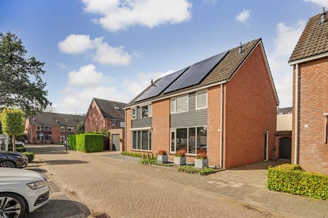 Schutsboom 4