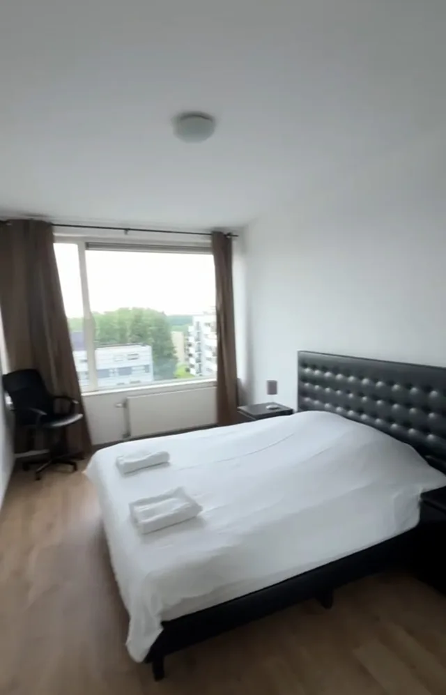 Schipluidenlaan