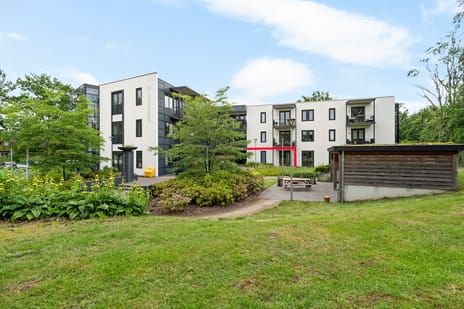 Ridderhof 7