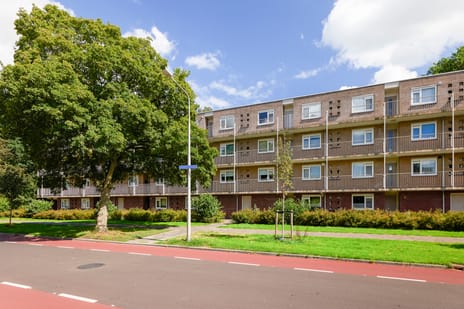 Oostelijk Halfrond 205