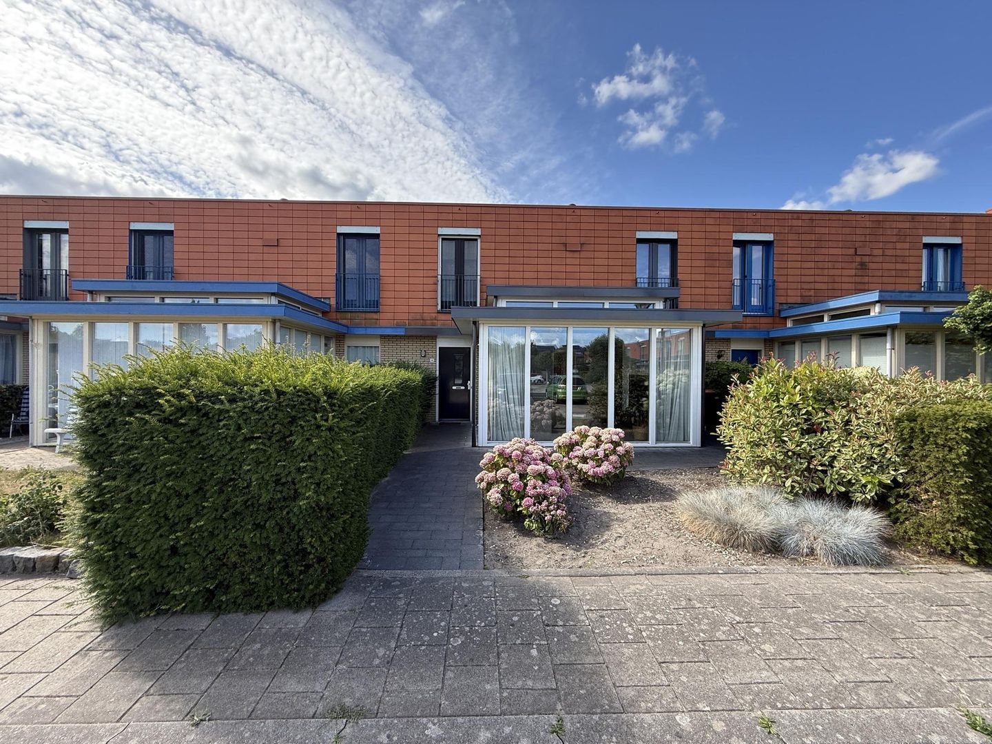 Zuidewijn 16