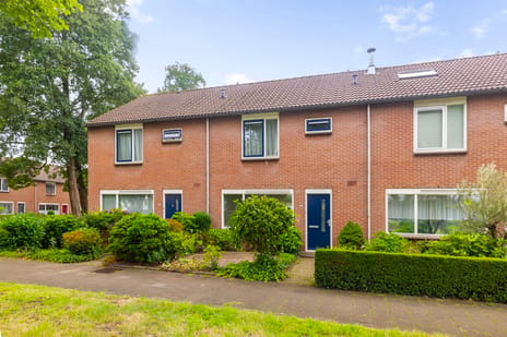Kruizemuntstraat 951