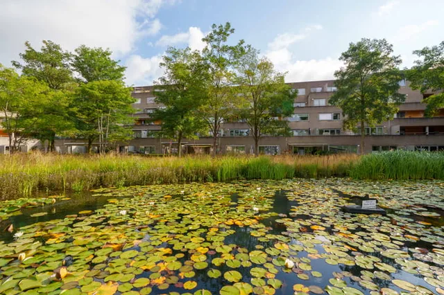 Poseidonsingel 55-h