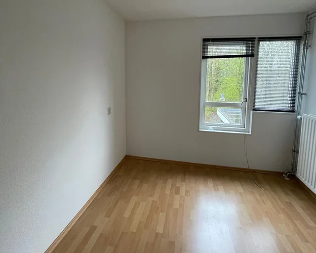 Spinnekopmolenstraat