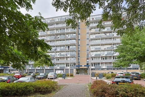 Lupinesingel 304