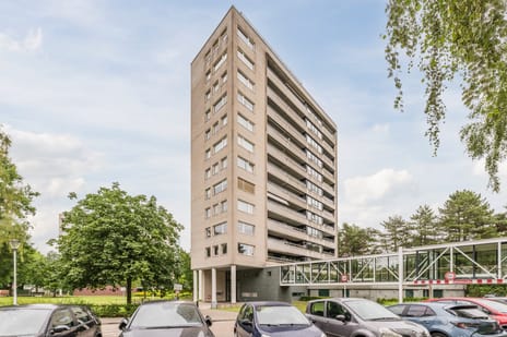 Magentahof 19