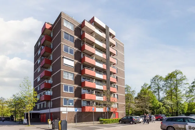 Zilverschoon 52