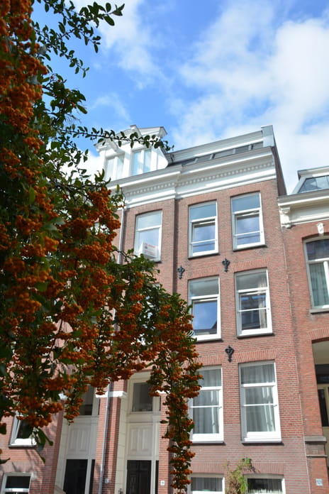 Tweede Jan van der Heijdenstraat 99-D