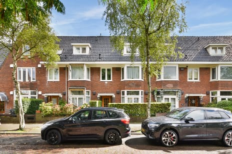 Plantsoen Laanhorn 18