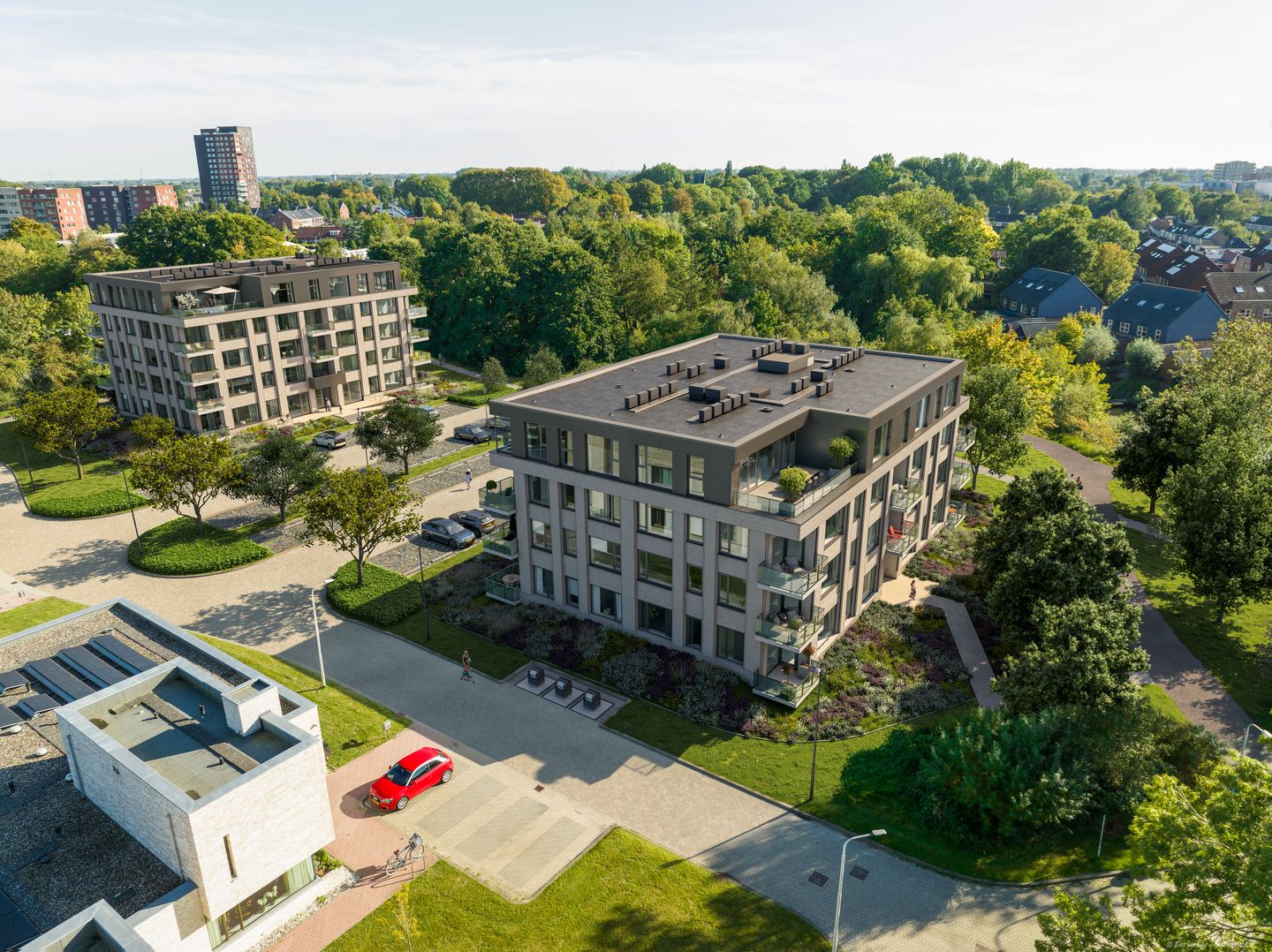 Dorhoutstraat 3