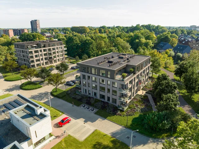 Dorhoutstraat 3