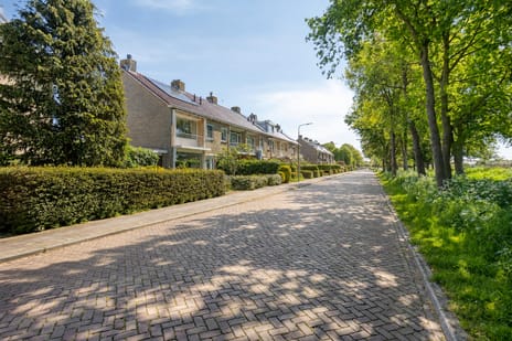 Singel 43