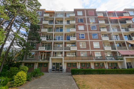 Ranonkelstraat 387